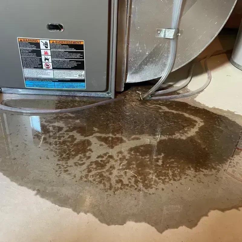 Appliance Leak Cleanup in Saint Louis County, MO